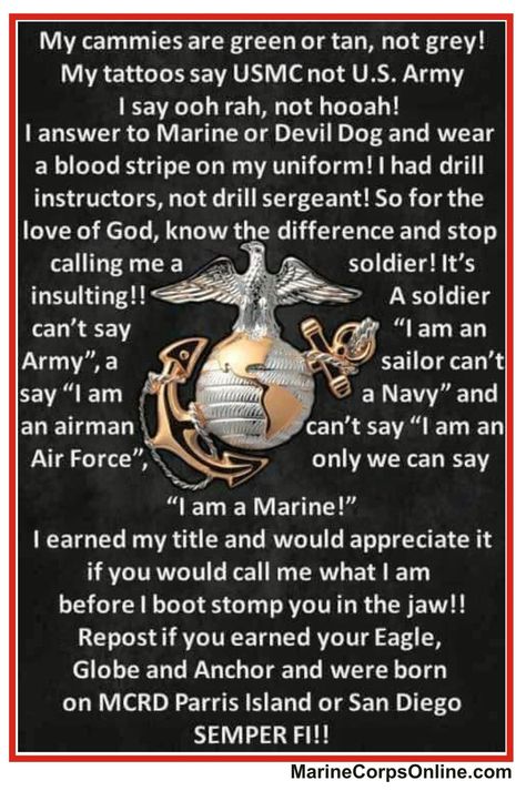 Someone said what all of us Marine's were thinking! Devil Dogs Usmc, Marine Mom Quotes, Usmc Humor, Usmc Wallpaper, Marine Corps Quotes, Marine Quotes, Military Life Quotes, Marines Funny, Usmc Quotes