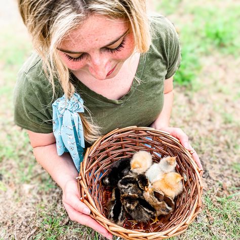 Chickens | The Roosting Place Cuckoo Maran, Buff Orpington, Easter Eggers, Day Old Chicks, Chicken Base, Egg Production, Backyard Flocks, Fawn Colour, Brown Eggs