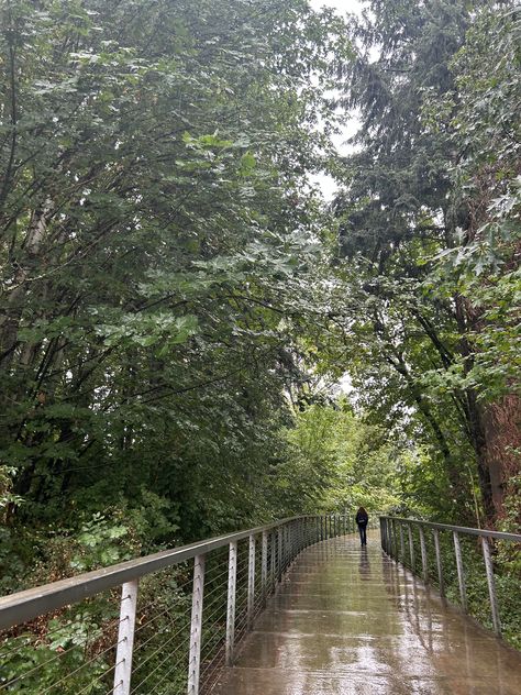 Reed college bouncy bridge outdoors nature aesthetic Pacific Northwest Oregon Portland. Reed College Aesthetic, Reed College Portland Oregon, Pacific Northwest Aesthetic, Northwest Aesthetic, Pnw Vibes, Oregon Aesthetic, Reed College, Common App, Ideal Lifestyle