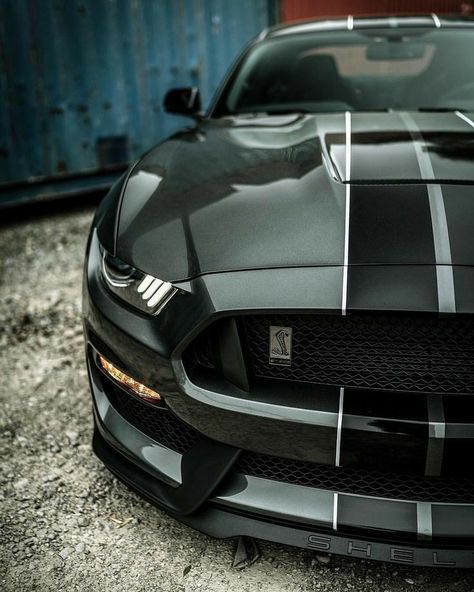 Ford Mustang Eleanor, Shelby Mustang Gt500, Mustang Gt500, Dope Music, Shelby Mustang, Ford Mustang Car, Ford Mustang Shelby Gt500, 2015 Mustang, Mustang Cobra