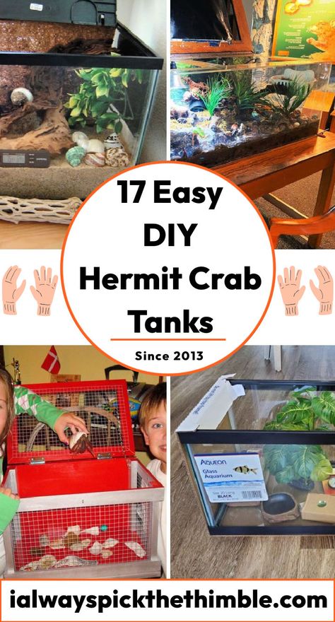 17 DIY Hermit Crab Tank Ideas: Learn How To Make Hermit Crab Humidifier Diy, Best Hermit Crab Habitat, Hermit Crab Terrarium Ideas, Hermit Crab Diy Ideas, Hermit Crab Tank Ideas Diy, Hermit Crab Habitat Ideas Tanks, 10 Gallon Hermit Crab Tank Ideas, Hermit Crab Enrichment, Diy Hermit Crab Habitat Ideas