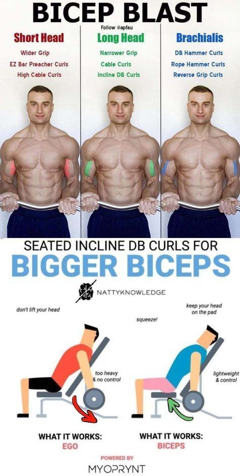 Intense Arm Workout, Boys Workout, Planning Sport, Big Biceps Workout, Workout Biceps, Biceps Training, Bigger Biceps, Bicep Workout, Workout Program Gym