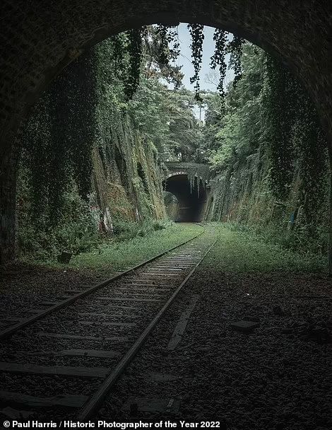 The 2022 Historic Photographer of the Year winners, from misty islands to awe-inspiring abbeys | Daily Mail Online Abandoned Train Tracks, Abandoned Train Station, Wildflower Print, Abandoned Train, Mysterious Places, Train Tracks, Zagreb, Birds Eye, Fantasy Artwork