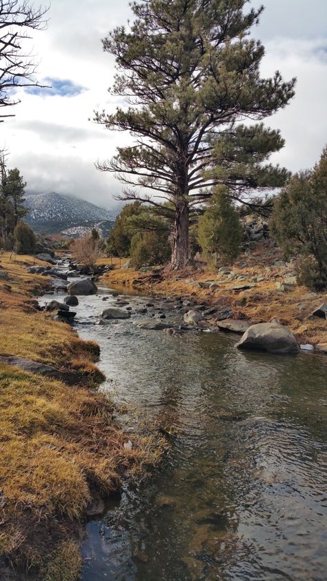 Pine Valley Utah, 30th Celebration, Cozy Mystery Series, Pine Valley, Northern Utah, Valley Landscape, Quick Getaway, Cozy Mystery, Southern Utah