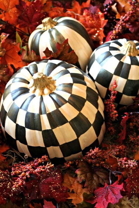 DIY Black & White Checkered Pumpkins Black And White Pumpkins, Checkered Pumpkins, Mackenzie Childs Diy, Gorgeous Gourds, Mackenzie Childs Inspired, Mckenzie And Childs, Kid Friendly Halloween, Courtly Check, Diy Event