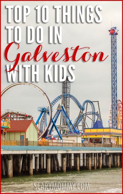 Top 10 Things To Do When You're In Galveston With Kids Galveston Texas Vacation, Reading Readiness, Spring Break Kids, Texas Vacation, Texas Trip, Galveston Beach, Texas Beaches, Zoo Park, Visit Texas