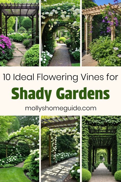 Explore the best flowering vines for shade to add charm to your garden. Discover a variety of shade-loving vines like clematis and other climbing plants that thrive in shady areas. Enhance your yard with perennial flowering vines or annual flowers suitable for both sun and shade. Learn more about flowering vines for shade gardens and get tips on trellis plants for your outdoor space. Growing Vines On House, Shade Vines Flowering, Vines That Grow In Shade Climbing, Vine Flowers Climbing, Shade Vines Perennial, Vines For Shade, Perennial Flowering Vines, Climbing Plants Trellis, Hydrangea Vine