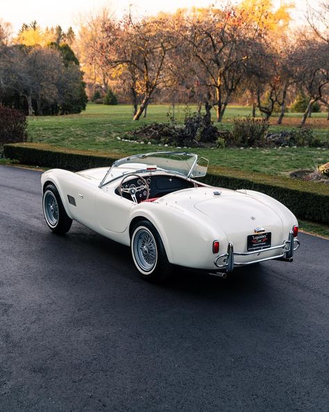 1965 Shelby Cobra 289 - Legendary Motorcar Company Shelby Cobra 289, 1965 Shelby Cobra 427, Finley Core, Cobra Car, Range Rover Car, 1965 Shelby Cobra, Shelby Car, Anne Francis, Shelby Cobra 427