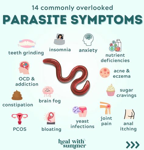 Parasite Symptoms, How To Get Rid Of Parasites, Parasites Symptoms, Intestinal Parasites, Parasite Cleanse, Mold Exposure, Gut Healing Recipes, Healthy Digestive System, Health And Wellness Coach