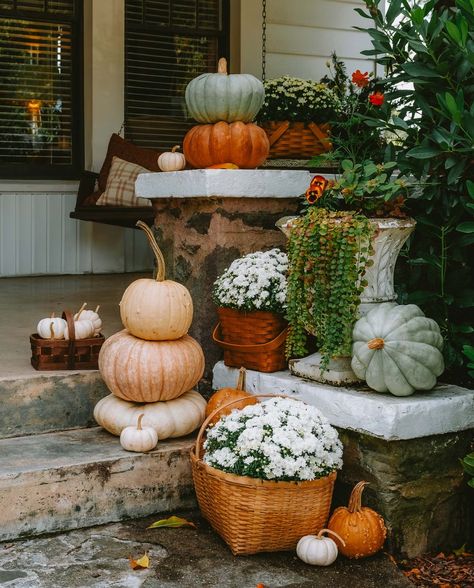 Pumpkins and mums in baskets on a front porch Pumpkin Porch, Brick Steps, Porch Pumpkins, Shine The Light, Fall Cocktails, Fall Front Porch, Garden Store, Best Pumpkin, Easy Fall