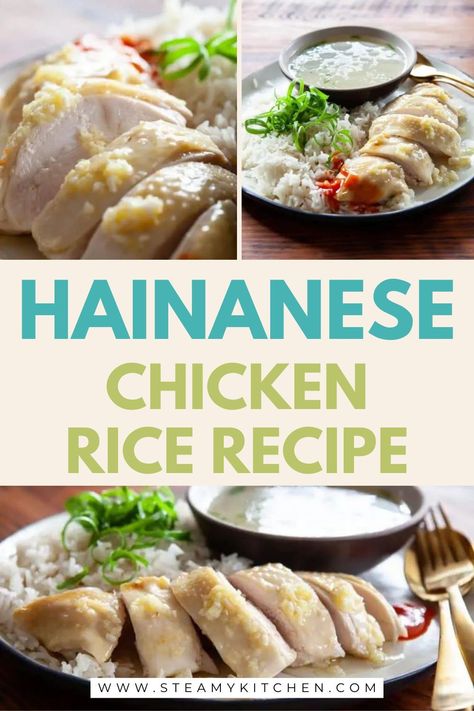 Hainanese Chicken Rice Recipe - a family recipe by Steamy Kitchen | Served Hot! | Simple Asian Cuisine | Food & Lifestyle Blog | based in USA. This is my family recipe for Hainanese Chicken Rice and I’ll show you step by step instructions. It’s a multi-step recipe, with only 5 components! Find Full Recipe On Our Blog. asian family recipes, authentic hainanese cuisine, easy asian cooking, traditional family dish, flavorful chicken rice, family cooking traditions, asian comfort food, one-pot meal Silky Chicken, Chili Dipping Sauce, Chicken Rice Recipe, Hainanese Chicken Rice, Asian Family, Best Lunch Recipes, Chicken Rice Recipes, Hainanese Chicken, Recipes Authentic