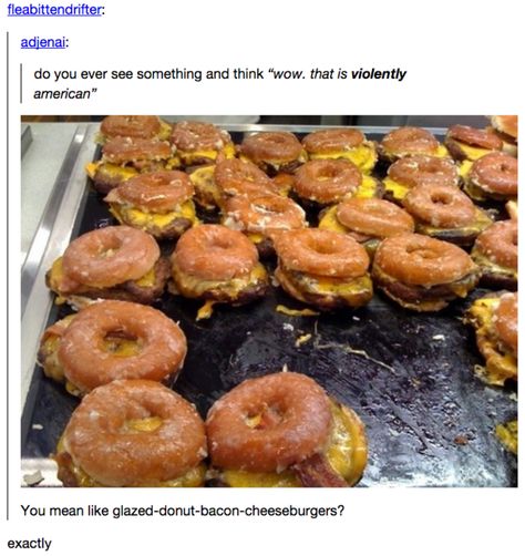 When they didn’t see the beauty in this light snack. | 17 Times America Got Burned By Tumblr Facts About America, Light Snacks, Bacon Cheeseburger, Everything Funny, Weird Things, Bacon Wrapped, Funny Pins, Tumblr Funny, Really Funny