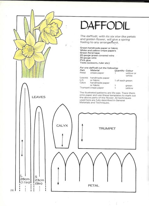 Daffodil 2 Daffodil Template, Paper Daffodil, Paper Daffodils, Paper Flower Patterns, Wafer Paper Flowers, Handmade Flowers Fabric, Paper Flower Crafts, Paper Flower Template, Crepe Paper Flowers