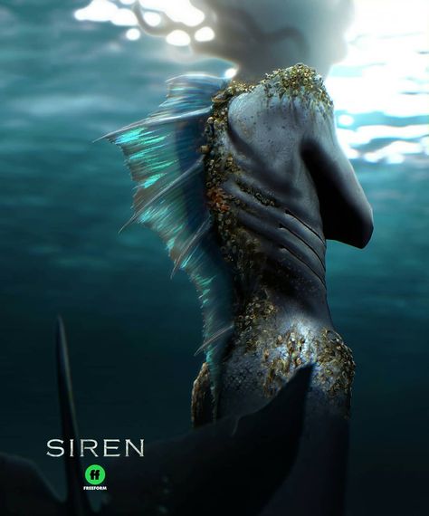 Mermaid Realistic, Merman Aesthetic, Siren Art, Siren Creature, Scary Mermaid, Shark Mermaid, Realistic Mermaid Tails, Dark Mermaid, Realistic Mermaid