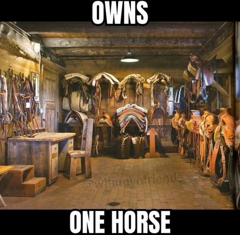 Tack Room Organization, Horse Tack Rooms, Saddle Racks, Tack Rooms, Horse Barn Ideas Stables, Horse Barn Designs, Dream Horse Barns, Dream Stables, Horse Barn Plans