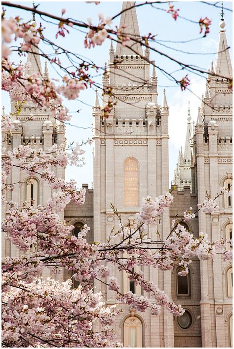 Lds Temple, Lds Temples, Cherry Blossoms, Temple, Salt, Cherry, Lake, Building