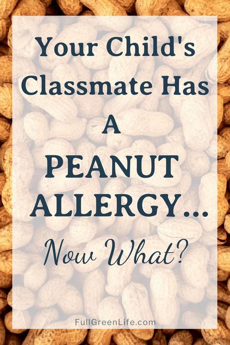 Peanut Allergy Snacks, Toddler Cpr, Mediterranean Diet Menu, Baby Food Allergies, Class Treats, Class Birthdays, Note Taking Tips, Blood Type Diet, Sugar Free Sweets