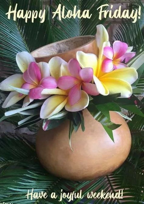 Happy 39 Birthday, Tropical Island Decor, Good Morning Friday Images, Happy Aloha Friday, Hello Thursday, Friday Wishes, Hawaiian Dancers, Happy Day Quotes, 39th Birthday