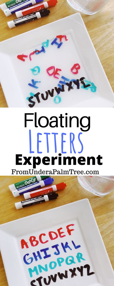 Letter Games For Kids, Science Experiments Kids Preschool, Floating Letters, Pre-k Science, Science Literacy, Preschool Science Activities, Home Games, Letter Games, Abc Activities