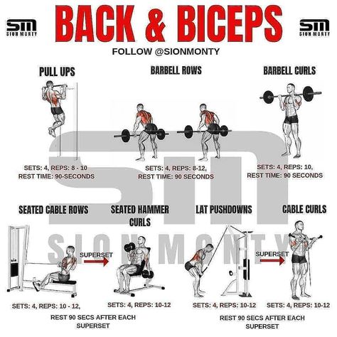 Workout Collage, Mens Bicep Workout, Full Workout Plan, Exercise Aesthetics, Bicep Workout Gym, Back And Biceps Workout, Pull Day Workout, Back And Bicep Workout, Chest Workout For Men