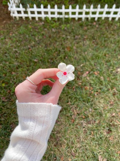 Someone Holding Flowers, Flower In Hand, Hand Poses Holding Flower, Hand Flower, Aesthetic Holding Flowers, Girl Holding Flowers, Person Picking Flowers, Hand Holding Flower Aesthetic, Girl Holding Flowers Drawing