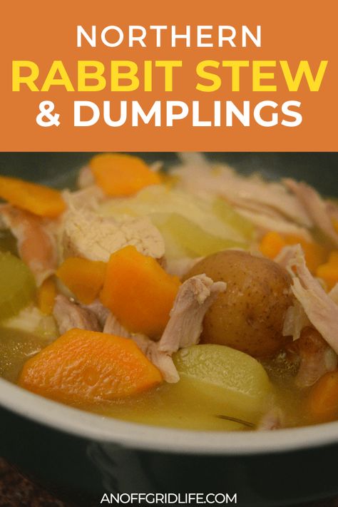 Rabbit Instant Pot Recipes, Rabbit Soup Recipe, Rabbit And Dumplings Recipe, Rabbit Dumplings Recipe, Rabbit Recipes, Rabbit Recipe, Rabbit Stew Crockpot, Rabbit Stew Recipe, Rabbit Stew Recipe Crockpot