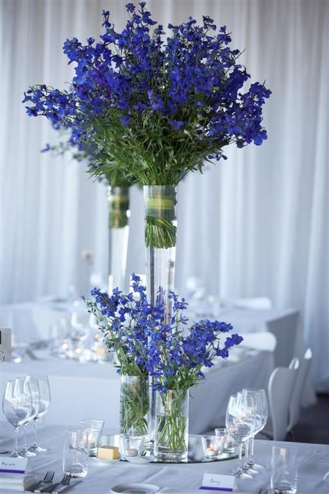 Blue Floral Arrangements, Blue Wedding Centerpieces, Blue Centerpieces, Botanical Garden Wedding, Botanical Gardens Wedding, Tall Centerpieces, Blue Wedding Flowers, Australia Wedding, Venue Decor