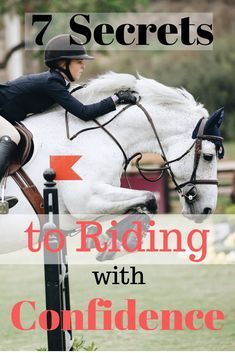 Get Over Fear, Horses Training, English Horseback Riding, Horse Ownership, Horseback Riding Tips, Hunter Horse, Horse Behavior, Horseback Riding Lessons, Horse Lessons