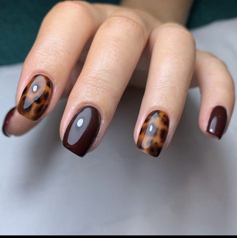 Russian Manicure Design Fall, Short Tortishell Nails, November Nail Color Ideas, Tortoise Shell Nail Designs, Short Tortoise Shell Nails, Tortoise Shell Nails Tutorial, Fall Nail Inspo Short, Tortishell Nails Design, Fall Nails Square