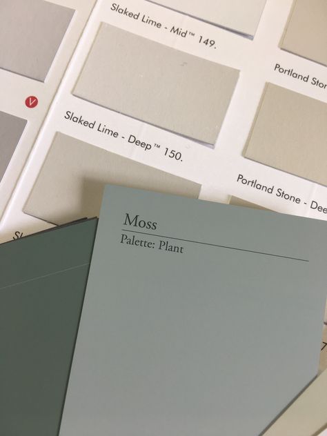 Neptune Moss Paint, Neptune Green Kitchen, Neptune Moss Paint Bedroom, Neptune Paint Colours, Moss Bathroom, Sherwin Williams Color Schemes, Neptune Home, Moss Paint, Flat Color Palette