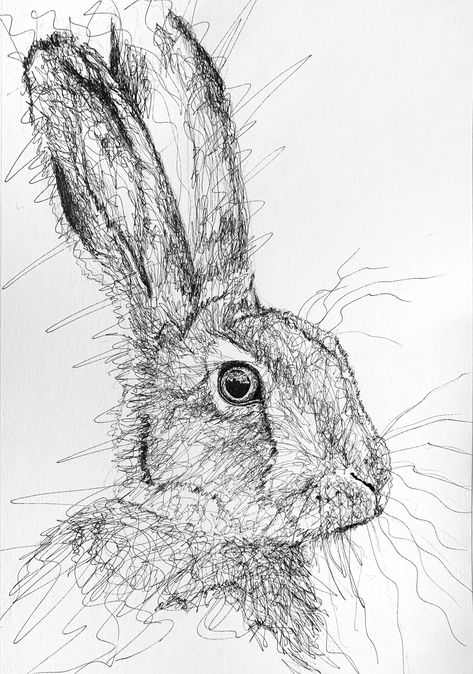 Animal Scribble Art, Scribble Art Doodles, Pen Scribble Art, Mark Making Art, Scribbling Drawing, Scribble Drawings, Hare Drawing, Hare Illustration, Biro Art