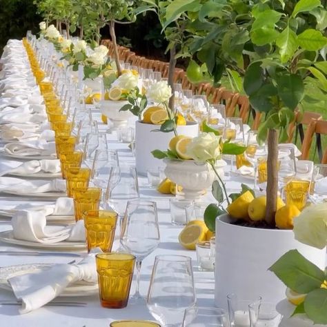 Villa Catignano on Instagram: "Sensational Pasta Party Among the Lemon Trees at @villa_catignano 🌿❤️🍋 11th June 2024  Nestled in the heart of our Italian Garden in Tuscany,  our beautiful couple Asiya and Aafaq welcomed their guests with a delightful Dinner. A perfect start to their unforgettable Big Days ahead! 🇮🇹🍋🍝  📹Photos & Video: @villa_catignano @marmoross  @villa_catignano @chechic_weddings @class_ricevimenti   @bianchi_fiori @audiovisualsiena   @asiyafkhan ❣️🫶 @wakipaki19   #weddingvenues #brides #villacatignano #luxurywedding  #italiainunoscatto #weddingday #weddingphotos #weddingplanning #weddingflorals #weddingcandles #weddingitaly #italyweddings #italywedding #weddingcenterpiece #weddingflowers #weddingtable #weddinggoals #weddingtuscany #weddingdetails #wedding..." Sicilian Wedding Theme, Tuscany Villa Wedding, Sicilian Wedding, Pasta Party, Lemon Trees, Villa Wedding, Italian Garden, Welcome To The Party, Wedding Dinner