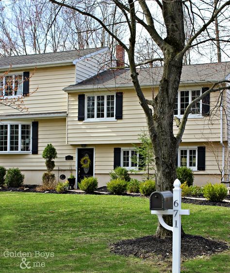 Yellow Split Level House Exterior, Light Yellow House With Black Shutters, Yellow Vynil Siding House, Black And Yellow House Exterior, Yellow House Black Shutters, Colonial Shutters Exterior, Black Board And Batten, Cream Colored Houses, Split Level House Exterior