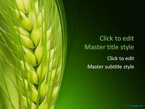 Free Crops PPT Template for presentations on Agriculture #PowerPoint Agriculture Photography, Ppt Free, Ppt Themes, Background For Powerpoint Presentation, Ppt Template Design, Free Ppt Template, Make A Presentation, Powerpoint Slide Designs, Powerpoint Free