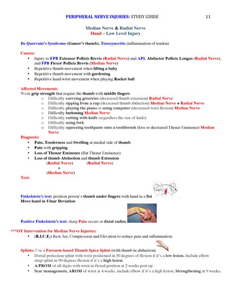 Median Nerve Injury, Nbcot Exam Prep Study Guides, Nbcot Exam Prep, Peripheral Nerve Injury, Nbcot Exam, Nerve Injury, Occupational Therapy Schools, Occupational Therapist Assistant, Physical Therapist Assistant