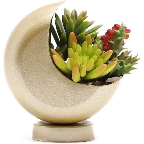 Planters, Hangers & Stands | Shop Online at Overstock Moon Planter, Planters For Succulents, Adoption Shower, Flower Cactus, Kitchen Balcony, Succulents Decor, Moon Decor, Modern Planters, Self Watering Planter