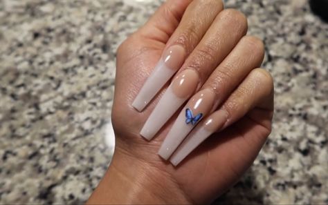 Butterfly French Nails, White Butterfly, Nail Manicure, French Nails, Manicure, Nails, White, Beauty