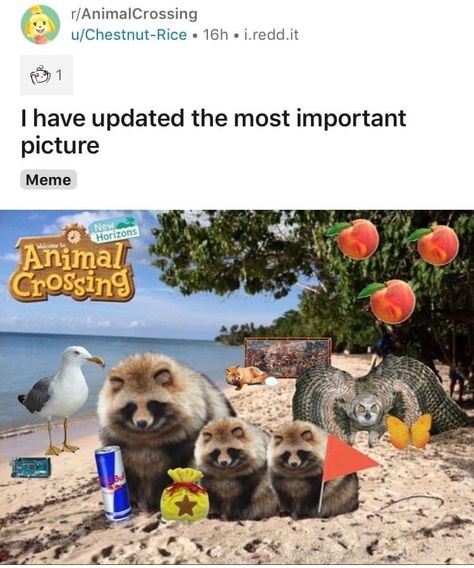 Animal Crossing Funny, Animal Crossing Fan Art, Animal Crossing Memes, Animal Crossing Characters, Animal Crossing Villagers, New Animal Crossing, Animal Crossing Game, Animal Crossing Qr, Visual Statements