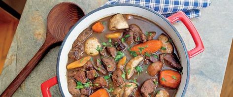 Savory Duck Stew Wild Duck Recipes Crockpot, Duck Stew Crockpot, Duck Stew Recipes, Duck Chili Recipe, Pheasant Stew, Duck Stew, Wild Duck Recipes, Stew Recipes Crockpot, Duck Breast Recipe