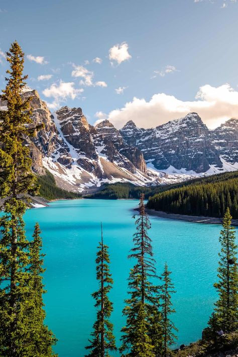 20 Helpful Moraine Lake Tips to Know Before Visiting Moraine Lake Canada, Places In Usa, Adventure Travel Explore, Parks Canada, Moraine Lake, Visit Canada, Park Pictures, Places In The World, Travel Info