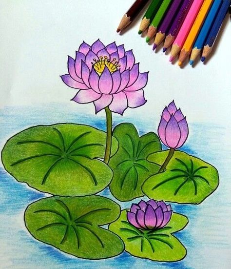 Drawing Lotus Flower, Basic Drawings, Lotus Flower Drawing, Lotus Drawing, Horse Canvas Painting, Oil Pastel Drawings Easy, Shading Drawing, Arte Aesthetic, Color Pencil Sketch