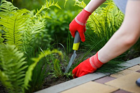 Learn how to kill / get rid of weeds (6 Steps) as well as prevent weeds from forming in your yard (2 Steps) with this DIY landscaping guide from True Value. Pulling Weeds, Organic Mulch, Weeding Tools, Lawn Edging, Baking Soda Uses, True Value, Patio And Garden, Garden Edging, Diy Landscaping