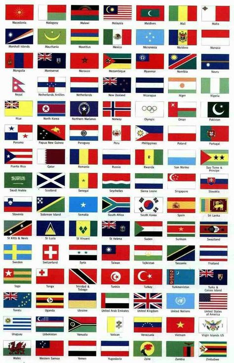 A World Country Flags, Diverse Learners, Montana State University, Minecraft Banner Designs, Countries And Flags, National Flags, Montana State, Image Swag, Student Body