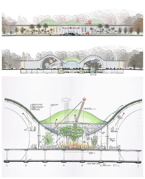 California Academy of Sciences by Renzo Piano / Drawings and Sketches: Piano Drawings, Lebbeus Woods, Piano Design, California Academy Of Sciences, Steven Holl, Architecture Concept Diagram, Landscape Sketch, Tadao Ando, Santiago Calatrava