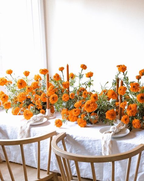 Portfolio — Iris & Fig Orange Candles, Thelma Et Louise, Marigold Wedding, Katie White, White Linens, Wedding Tablescape, Whidbey Island, Orange Wedding, Wedding Mood Board