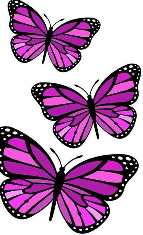 - #Floresdibujo | Mariposas para imprimir, Dibujos de mariposas, Mariposas de colores Cute Butterfly Wallpaper, Colorful Butterflies Art, Quilling Butterfly, Butterfly Art Drawing, Image Spiderman, School Murals, Butterfly Printable, Butterfly Clip Art, Butterfly Pictures