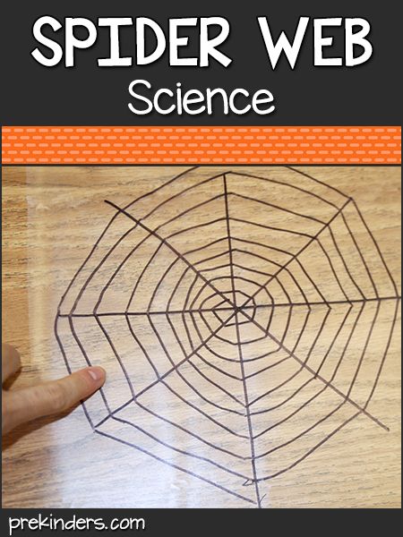 Preschool Spider Activities, Art, Math, Literacy - PreKinders Spider Sorting Activity, Spiders Kindergarten Science, Spider Lessons For First Grade, Spider Stem Activities Preschool, Spider Science Preschool, Spider Web Activities For Preschool, Toddler Spider Activities, Spider Themed Activities, Spider Life Cycle Craft