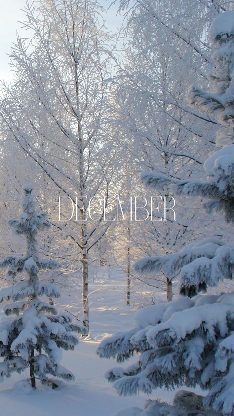 Winter Walpapers Asthetic, Snowy Winter Wallpaper, Winter Asthetic Wallpers, Winter Asthetics Photos Wallpaper, Winter Astetic Wallpaper Iphone, Winter Iphone Wallpaper Aesthetic, Cozy Winter Aesthetic Wallpaper, Aesthetic Winter Wallpaper, 1st Day Of Winter