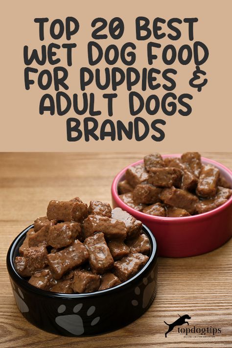 Check our top list of the best wet dog food brands for puppies and adult dogs that are affordable! Best Wet Dog Food, Food For Puppies, Vegetarian Dog Food Recipe, Best Dog Food Brands, Grain Free Dog Food, Canned Dog Food, Wet Dog, Dog Food Brands, Natural Dog Food