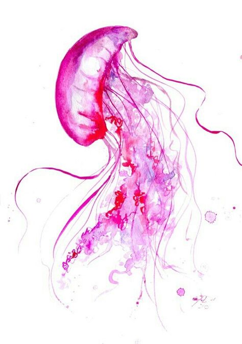 Pink Medusa Watercolor Jellyfish, Jellyfish, Jellyfish Tattoo, Painting Inspiration, Theme Tattoo, Fish Tattoo, Temporary Tattoo Designs, Jelly Fish, Art Watercolor